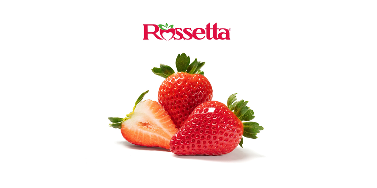 La Fragola Rossetta® conquista il mercato